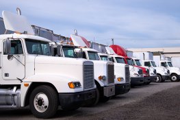 Yard-Facilities.jpg